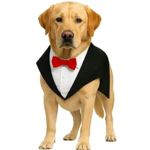 Buraq Premium Dog Wedding Suit