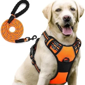 Lyrovo Adjustable No-Pull Dog Harness with Leash Set